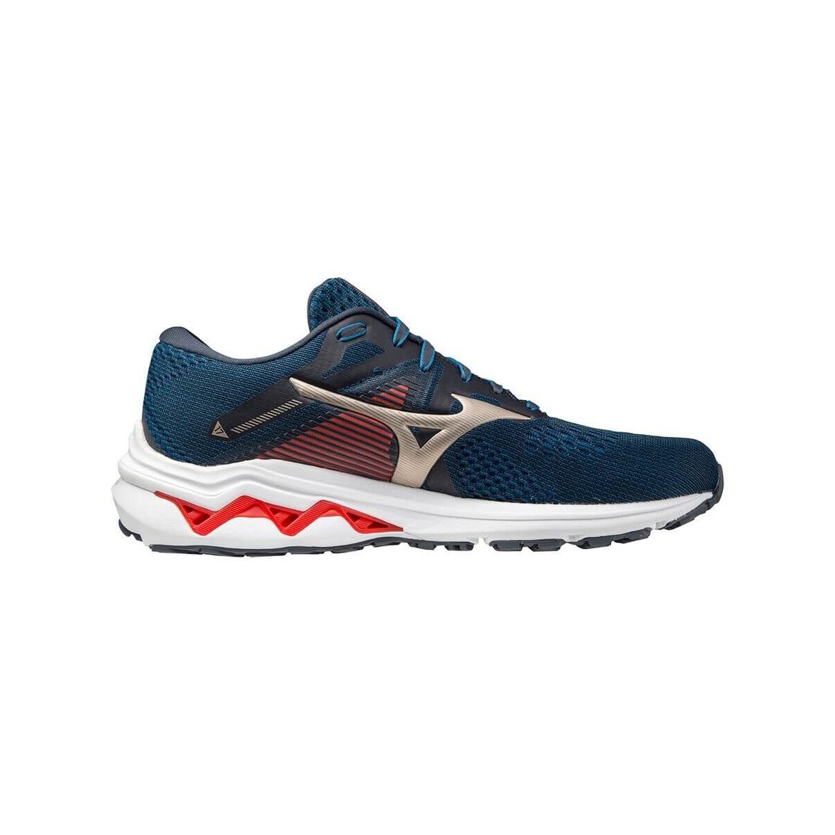 Mizuno wave rider online 17 azul