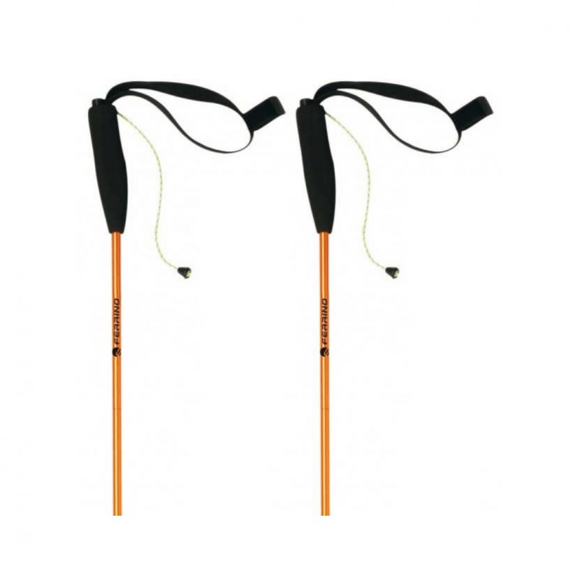 Eiger trekking hot sale pole