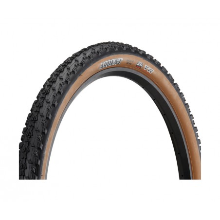 Maxxis best sale ardent skinwall