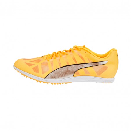 Puma shop evospeed jaune