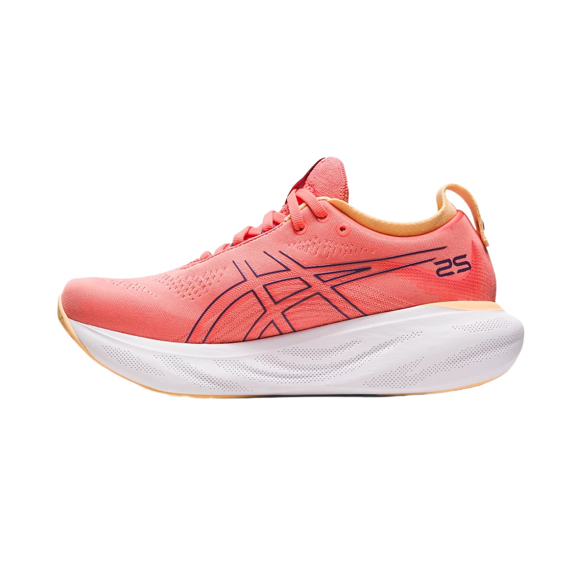 Asics Gel-Nimbus 25 Women (1012B356) desde 103,94 €