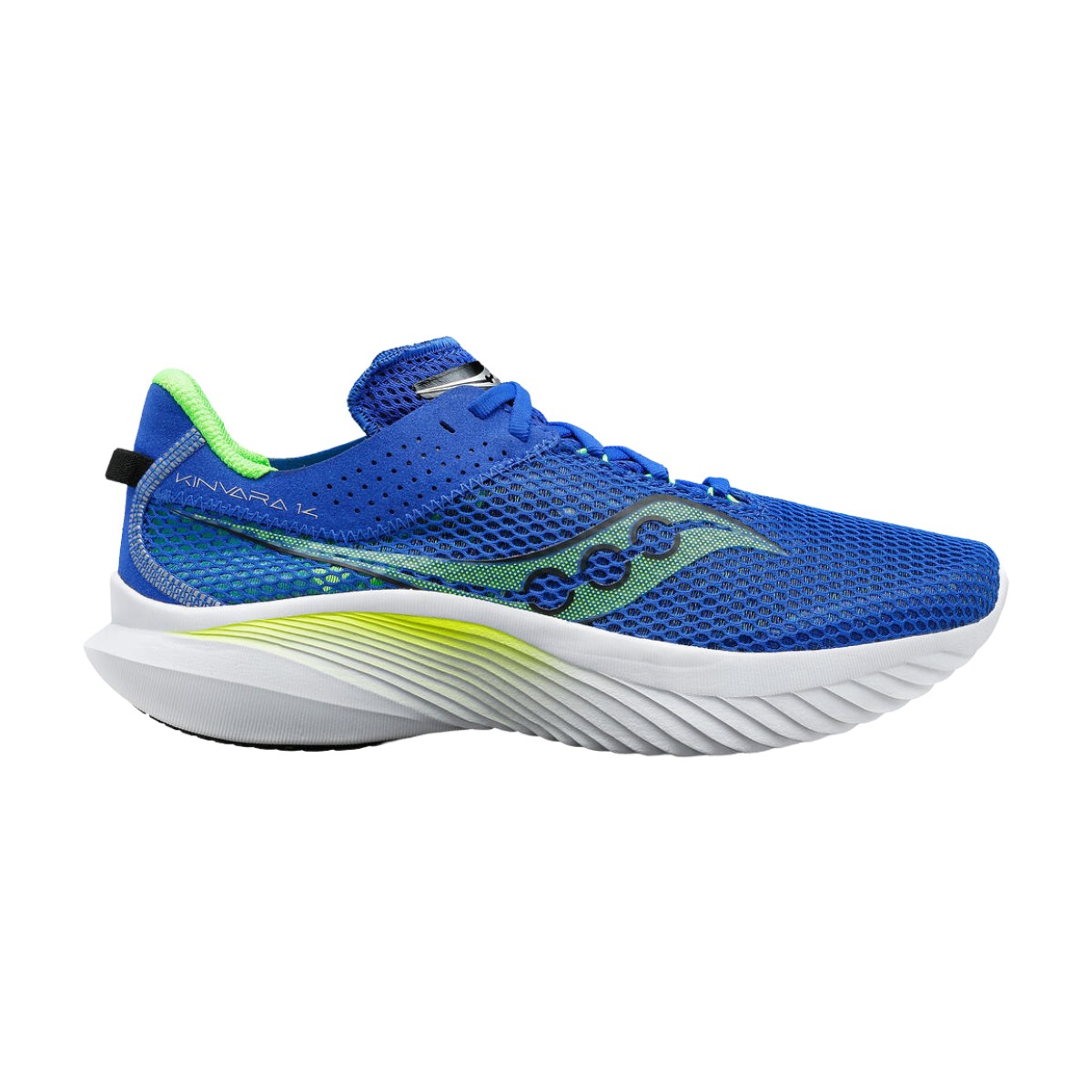 Saucony kinvara 8 clearance blu