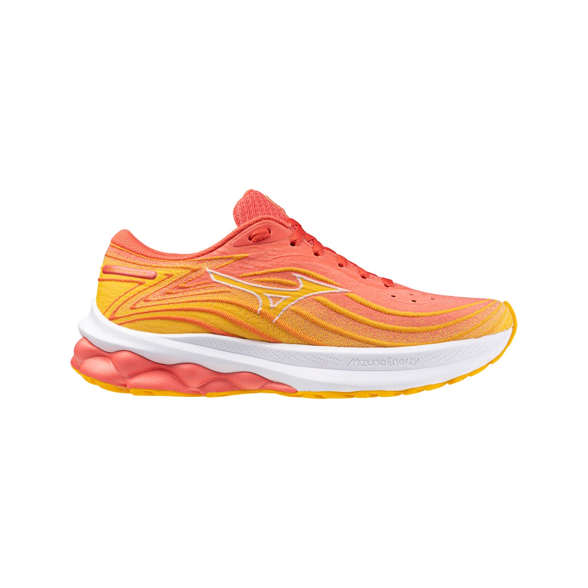 Mizuno wave rider 22 mujer best sale