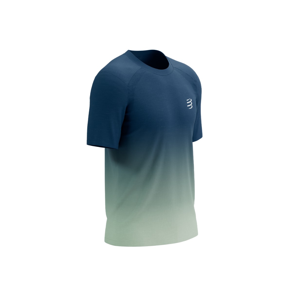 Compressport Performance SS T-Shirt Blau Grau, Größe S