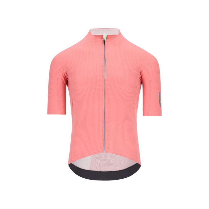 Maillot Q36.5 Dottore Pro Rosa Giro